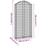 Cesto Gabbione ad Arco 100x30x200/220 cm Ferro Zincato