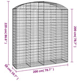 Cesto Gabbione ad Arco 200x50x200/220 cm Ferro Zincato