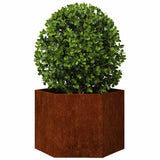 Fioriera Ruggine 60x60x45 cm Acciaio Corten