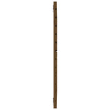 Testiera da Parete Ambra 141x3x91,5cm in Legno Massello di Pino