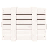 Contenitore Portaoggetti Bianco 58x40,5x42 cm Massello di Pino