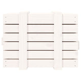 Contenitore Portaoggetti Bianco 58x40,5x42 cm Massello di Pino