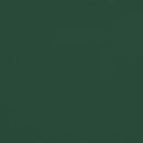 Ombrellone a Doppia Testa Verde 449x265 cm