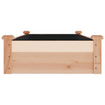 Fioriera Rialzata da Giardino Fodera 120x60x25cm Massello Abete