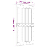 Porta NARVIK 100x210 cm in Legno Massello di Pino