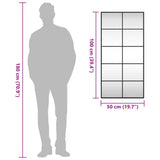 Specchio da Parete Nero 50x100 cm Rettangolare in Ferro