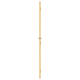 Porta Interni Sottile Oro 93x201,5cm Vetro Temperato Alluminio