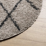 Tappeto Shaggy PAMPLONA a Pelo Lungo Beige e Antracite  120 cm