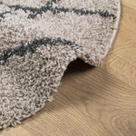 Tappeto Shaggy PAMPLONA a Pelo Lungo Beige e Antracite  120 cm