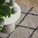 Tappeto Shaggy PAMPLONA a Pelo Lungo Beige e Antracite  120 cm