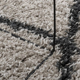 Tappeto Shaggy PAMPLONA a Pelo Lungo Beige e Antracite  120 cm
