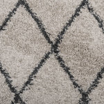 Tappeto Shaggy PAMPLONA a Pelo Lungo Beige e Antracite  120 cm