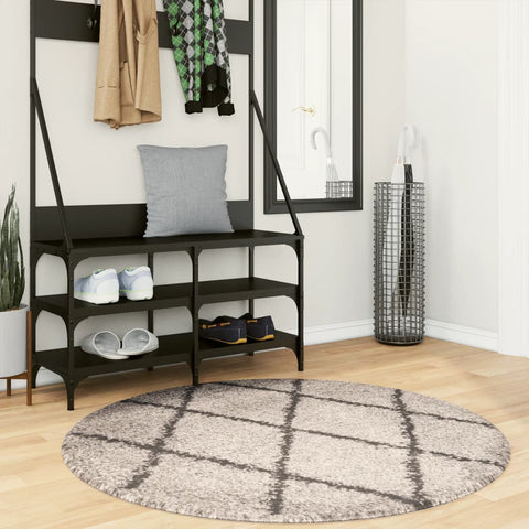 Tappeto Shaggy PAMPLONA a Pelo Lungo Beige e Antracite  120 cm