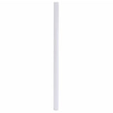Pellicola per Finestra Smerigliata Bianca 45x500 cm PVC