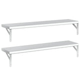 Mensole a Muro 2 pz 100x23,5 cm Argento in Acciaio Inossidabile