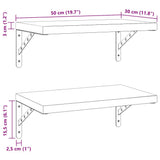 Mensole a Muro 2 pz 50x30 cm Argento in Acciaio Inossidabile