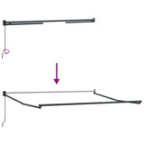 Tenda da Sole Retrattile Manuale Bordò 300x250 cm