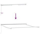 Tenda Sole Retrattile Manuale 300x250 cm Marrone