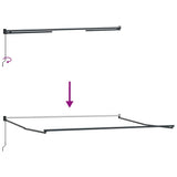 Tenda Sole Retrattile Manuale 500x300 cm Marrone