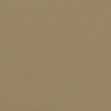 Tenda da Sole Laterale Retrattile Tortora 160x300 cm