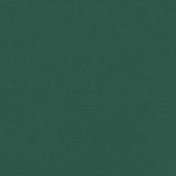 Tenda da Sole Laterale Retrattile Verde Scuro 200x300 cm