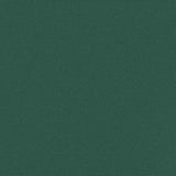 Tenda da Sole Laterale Retrattile Verde Scuro 100x500 cm