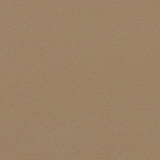 Tenda da Sole Laterale Retrattile Tortora 120x500 cm