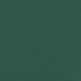 Tenda da Sole Laterale Retrattile Verde Scuro 220x500 cm