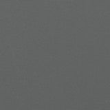 Tenda da Sole Laterale Retrattile Antracite 120x600 cm