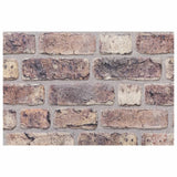 Pannelli Murali 3D 10 pz Marrone Scuro 100x50 cm EPS