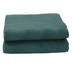 Tappeto da Tenda Verde 4x2,5 m