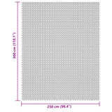 Tappeto da Campeggio Grigio Chiaro 3x2,5 m