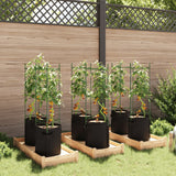 Sostegni Pomodori con Sacchetti Piante 6pz 116 cm Acciaio e PP