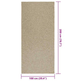 Tappeto ZIZUR Beige 100x200 cm Aspetto Iuta Interni ed Esterni