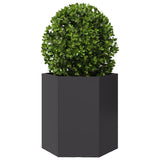 Fioriera da Giardino Nera Esagono 46x40x45 cm in Acciaio
