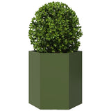 Fioriera da Giardino Verde Oliva Esagono 46x40x45 cm Acciaio