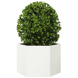 Fioriera da Giardino Bianca Esagono 69x60x45 cm in Acciaio