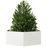 Fioriera da Giardino Bianca Esagono 138x120x45 cm in Acciaio