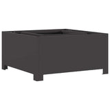 Focolare Nero 60 x 60 x 30 cm Acciaio laminato a freddo