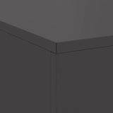 Focolare Nero 100 x 100 x 30 cm Acciaio