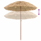 Ombrellone da Spiaggia Naturale 160 x 160 x 196 cm
