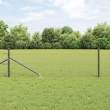 Recinzione in rete saldata con punte 25 x 0,8 m (L x H)