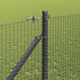 Recinzione in rete saldata con punte 50 x 1,4 m Grigio Rete
