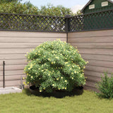 Barriera antiradice Nero 0,7 x 10 m Polietilene
