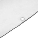 Telone Trasparente con Occhielli 1x2 m in Polietilene