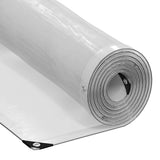Telone Trasparente con Occhielli 1x10 m in Polietilene