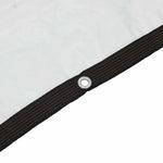 Telone Trasparente con Occhielli 10x10 m in Polietilene
