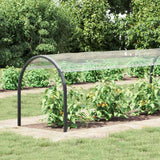 Telone Trasparente con Occhielli 1x8 m in PVC