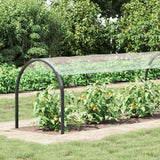 Telone Trasparente con Occhielli 1x12 m in PVC