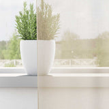 Tende in Voile con Linguetta 2 pz Crema